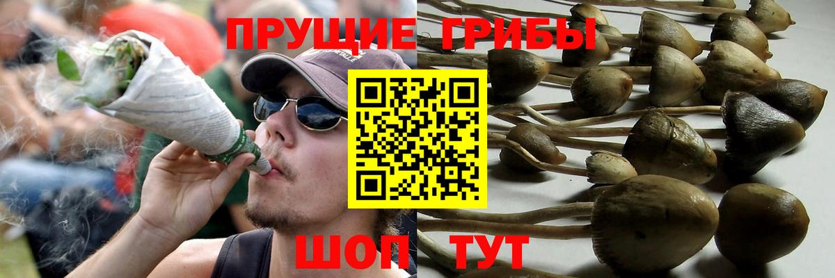 Киров  Галлюциногенные грибы мицелий  что такое   Вход с VPN 